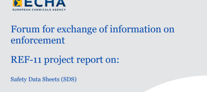 REF-11 project report
