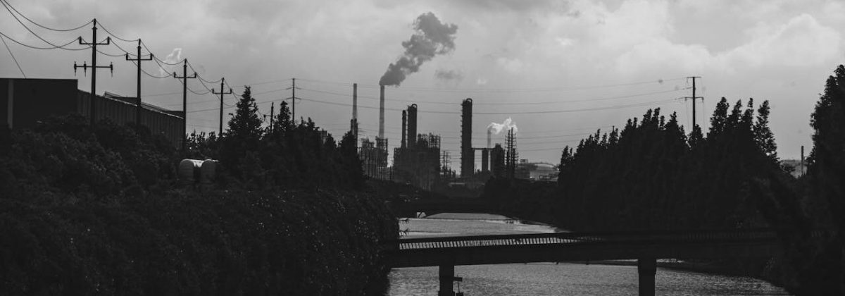 pexels-1433506698-33407078 Photo by 女子 正真: | Pexels
